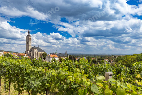 Preview: Panoramic vineyard with cityscape