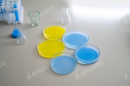 Preview: five petri dish (glass plates) with colorful liquid on the table in laboratory