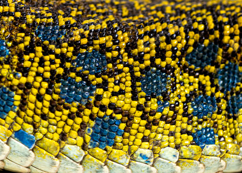Preview: Close up view of an ocellated lizard skin showing the arrangement of its scales