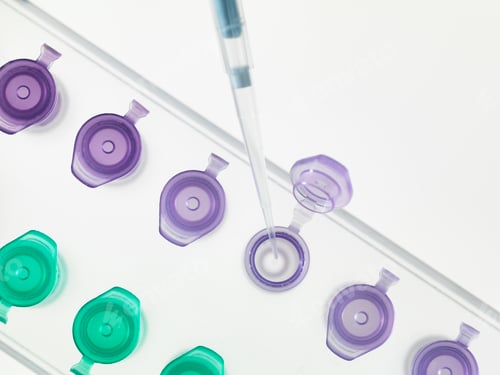 Preview: Overhead view of pipetting DNA sample into microcentrifuge tubes