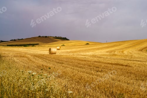 Preview: Country landscape near Matera and Gravina di Puglia