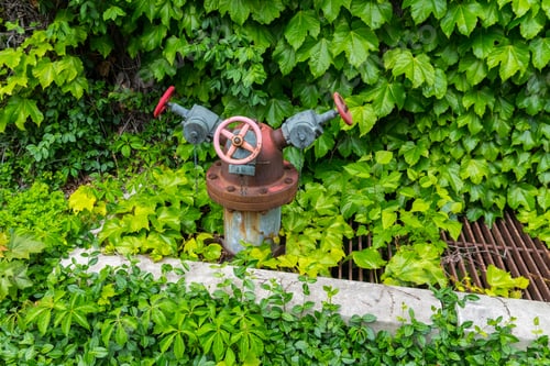 Preview: Metal Water Hydrant In A Green Grass On The Wall