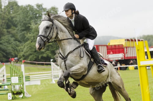 Preview: Show Jumping