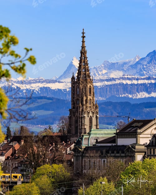 Preview: Das Berner Muenster