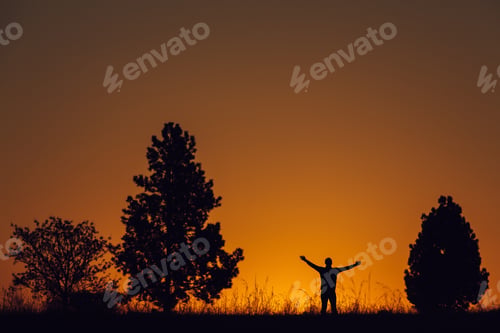 Preview: Silhouette of man in landscape