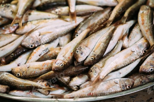 Preview: Fresh Fish On Display On Ice On Fishermen Market Store Shop. Seafood Fish Background. Top View