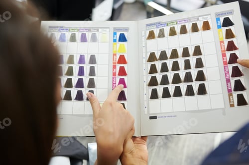 Vista previa: Client Choosing Hair Color