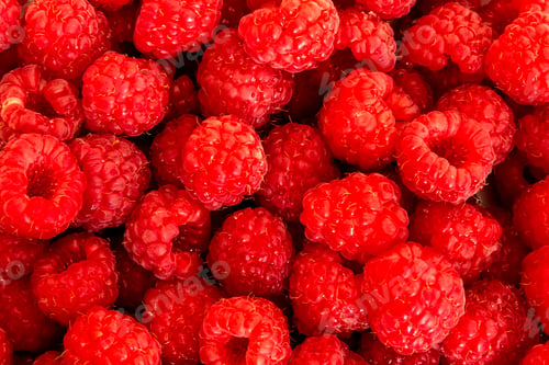 Vista previa: Ripe raspberries. Berries.Scarlet. Raspberry background. Raspberry surface
