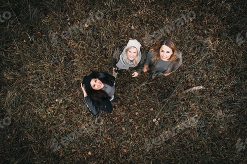 Preview: Three happy friends in autumnal nature, aerial view