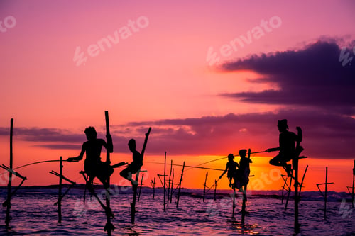 Preview: Traditional stilt fisherman in Sri Lanka