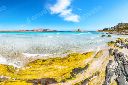 Preview: Unbelivable morning view of famous La Pelosa beach and rocky shore near Torre della Pelosa
