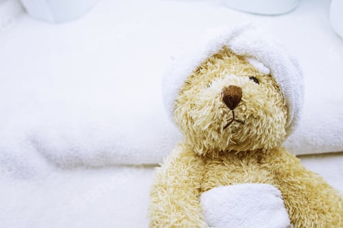 Preview: Bear is going to bath.