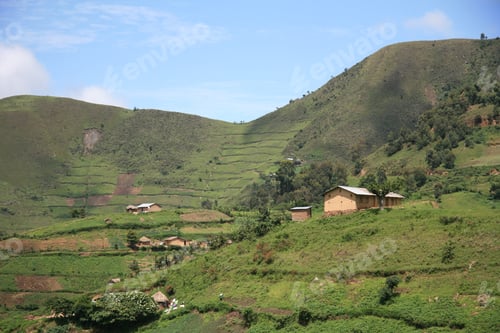 Preview: Rice Fields in Uganda, Africa