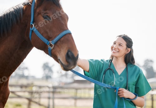 Preview: Shot of an attractive young veterinarian standing alone and attending to a horse on a farm