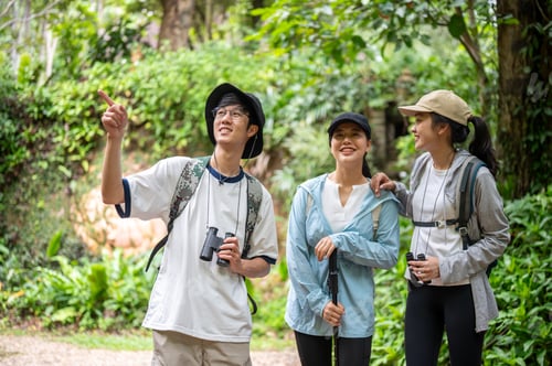 Preview: Tourist man and woman friend group with binoculars looking around while hiking or trekking in forest