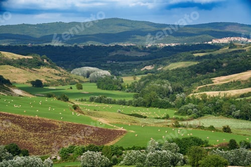 Preview: Rural landscape in Val d Orcia, Tuscany, at summer