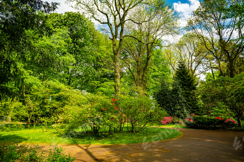 Preview: Beautiful Garden with blooming trees during spring time