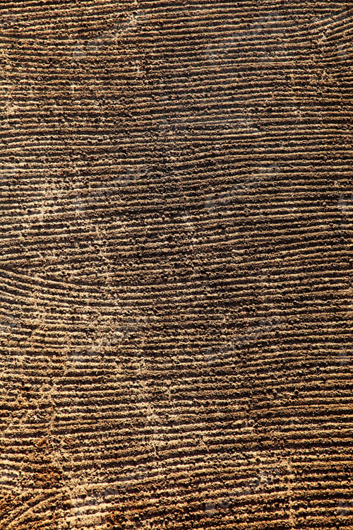 Preview: Ploughed fields on west bank of nile egypt