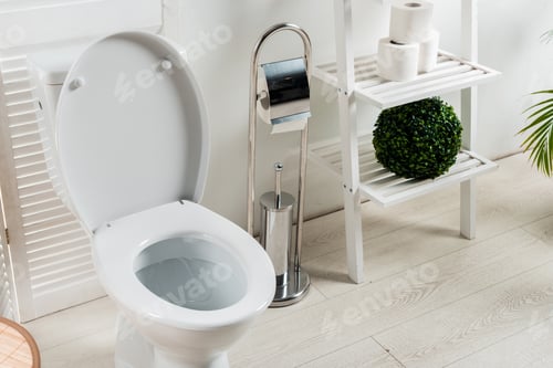 Preview: interior of white modern bathroom with toilet bowl near folding screen, toilet brush, toilet paper,