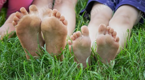 Preview: Children's legs on green grass. Selective focus.