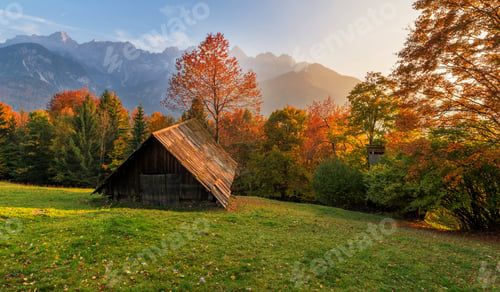 Preview: Autumn Colors