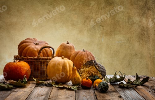 Preview: Thanksgiving concept with colorful pumpkins and fall leaves on rustic wooden table, copy space