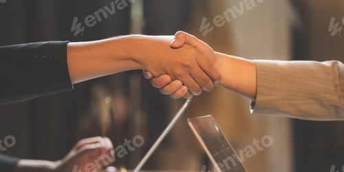 Preview: Hands of two male business people shaking hands and sealing a partnership
