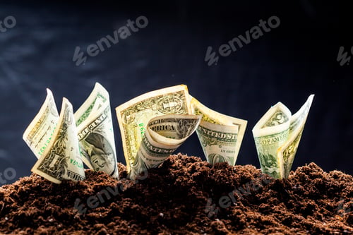 Preview: American dollars grow from the ground