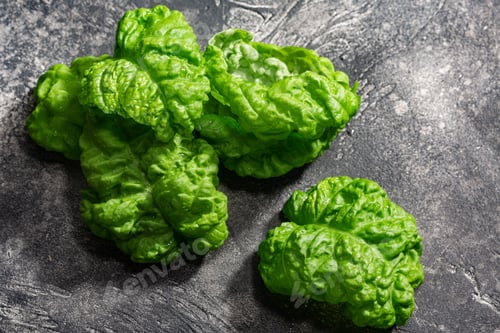 Preview: Fresh Valentino basil leaves atop wet dark textured backdrop