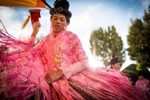 Visualização: Mulher em traje tradicional vibrante em uma celebração cultural