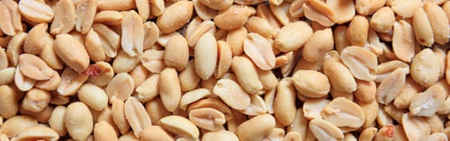 Preview: Peanuts peeled full background, closeup, banner