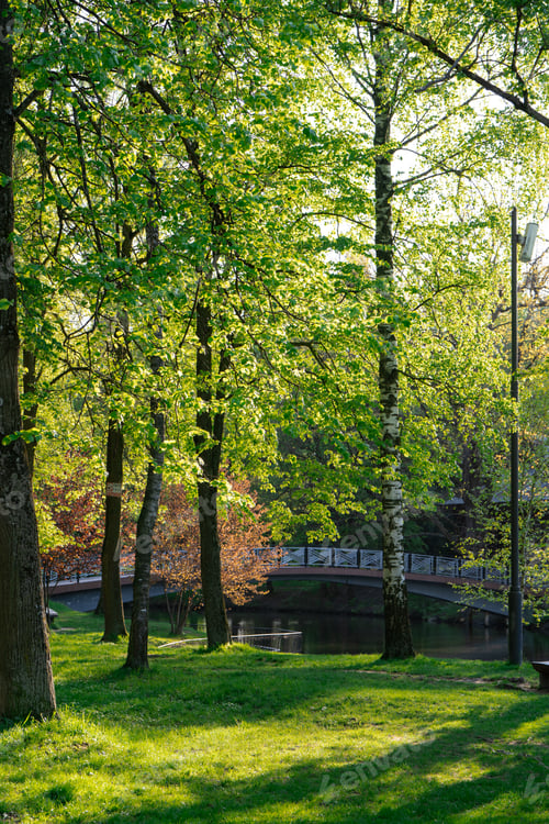 Preview: Beautiful view of the city park on a sunny spring day.