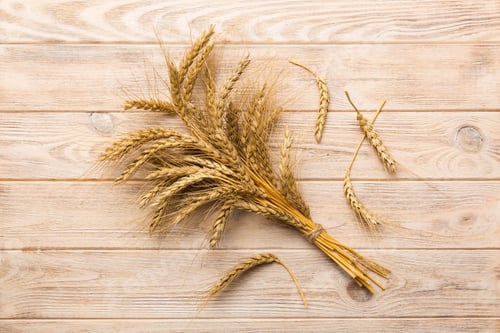 Preview: Sheaf of wheat ears close up and seeds on colored background