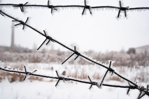 Preview: Barbed wire fence covered with frost winter time around closed area