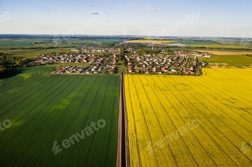 Preview: Top view of the yellow rapeseed field and the village. A sown field of rapeseed in Belarus.The
