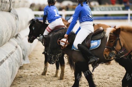 Preview: Children on horses playing horseball
