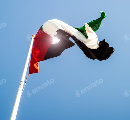 Preview: United Arab Emirates flag