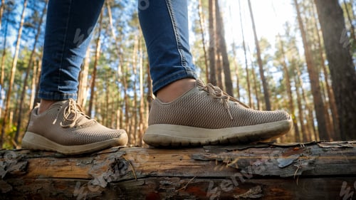 Preview: Closeup photo of female feet in sneaker walking and balancing on fallen tree log in forest