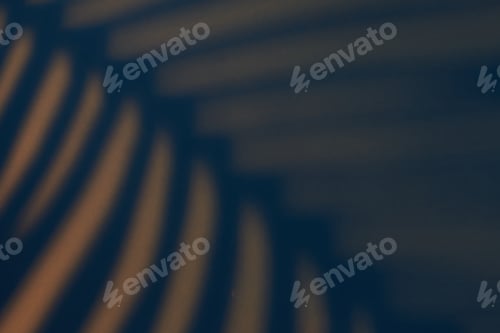 Preview: Beautiful fern leaves shadow colored background in artificial light
