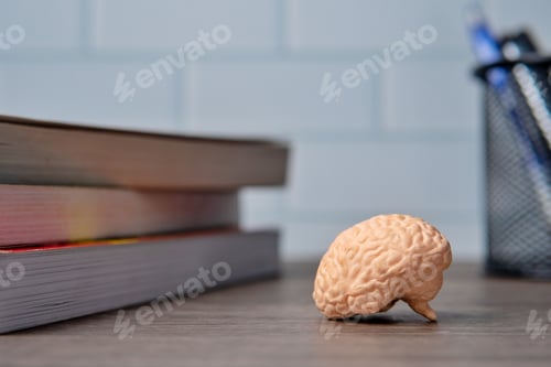 Preview: A close-up of a brain model on a wooden table with a pen holder and a stack of books.