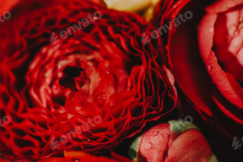 Preview: flower