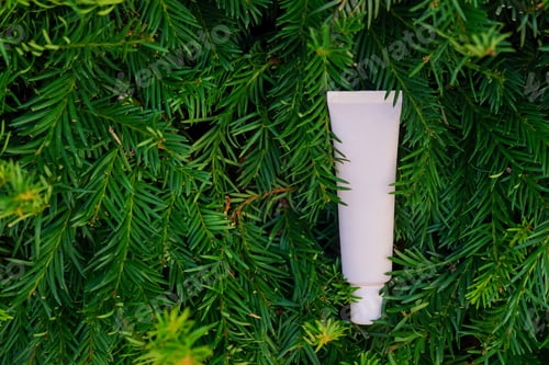 Preview: Tube of Cream Amongst Vibrant Green Pine Branches