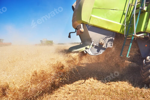 Preview: very close up combine harvesting wheat