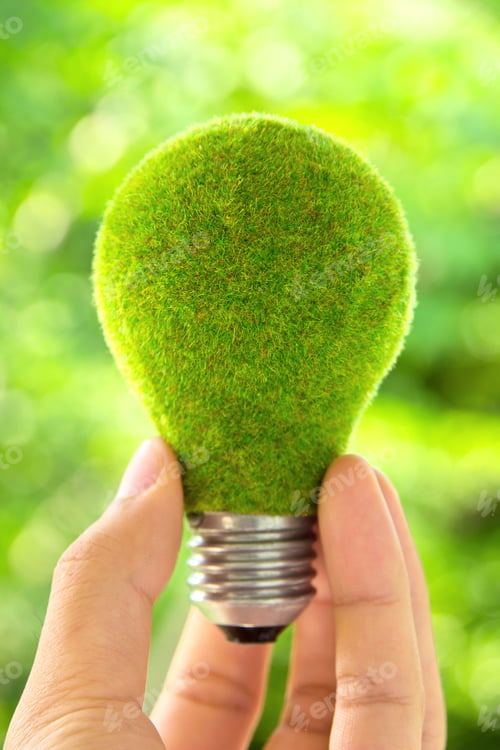 Preview: Hand holding eco light bulb energy concept