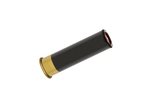 Preview: shotgun shells isolated on white background