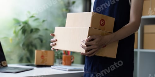 Preview: Young Entrepreneur Managing Startup SME Business Operations with Focus on E-commerce and Online