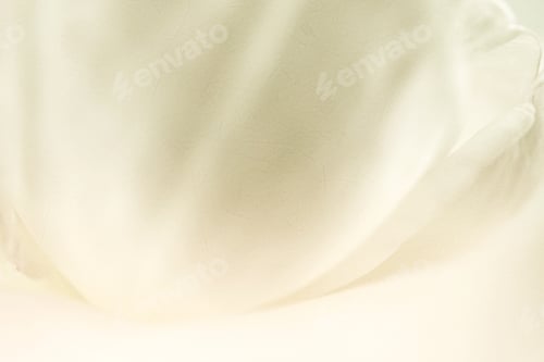 Preview: Sweet Color Rose Petal In Soft And Blur Style On Mulberry Paper Texture