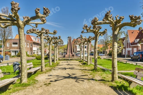 Preview: a park with trees and benches in a city street
