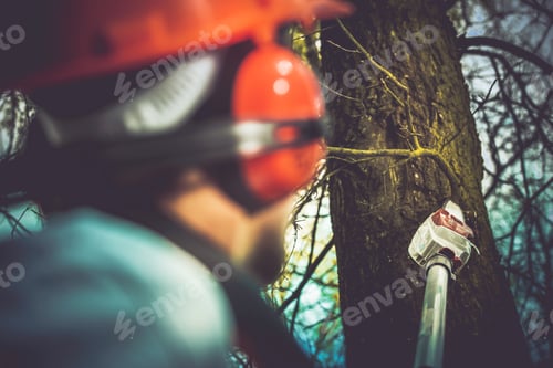 Preview: Taking Care of Trees
