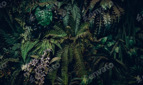 Preview: Close up group of background tropical green leaves texture and abstract background.